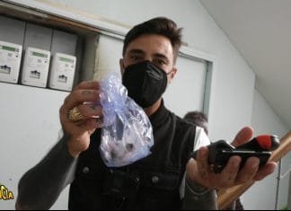 BRUMOTTI DI NUOVO IN SELLA CONTRO LA DROGA