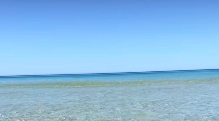 MISS LATO B STARPEOPLENEWS LUCAS PERACCHI